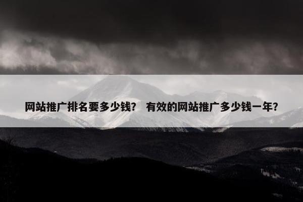 网站推广排名要多少钱？ 有效的网站推广多少钱一年？