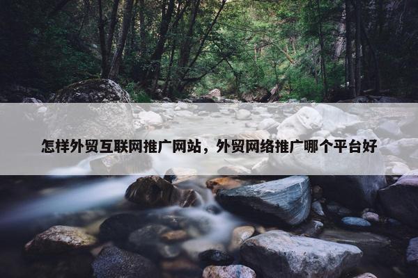 怎样外贸互联网推广网站，外贸网络推广哪个平台好