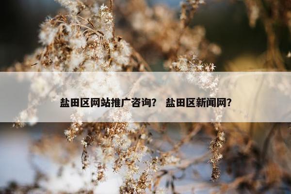 盐田区网站推广咨询？ 盐田区新闻网？