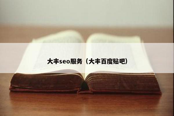 大丰seo服务（大丰百度贴吧）
