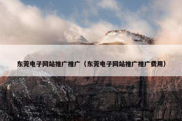 东莞电子网站推广推广（东莞电子网站推广推广费用）