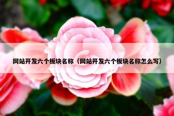 网站开发六个板块名称（网站开发六个板块名称怎么写）