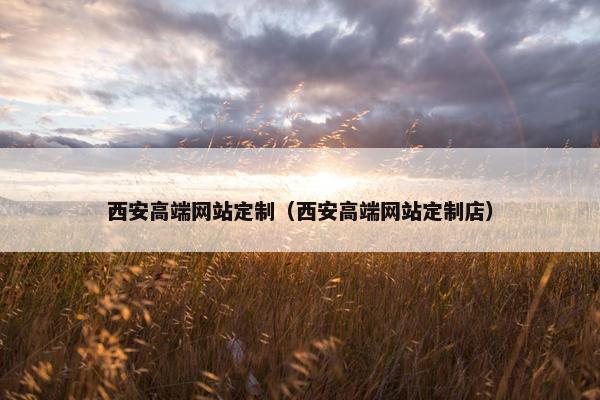 西安高端网站定制（西安高端网站定制店）