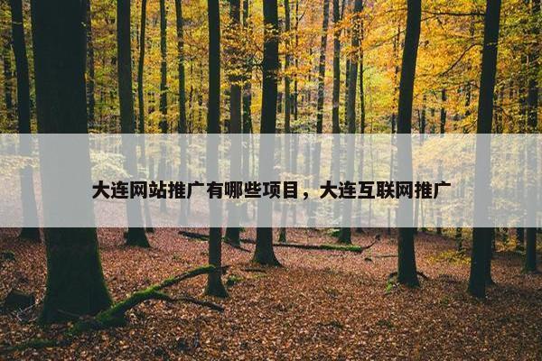 大连网站推广有哪些项目，大连互联网推广