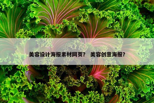 美容设计海报素材网页？ 美容创意海报？