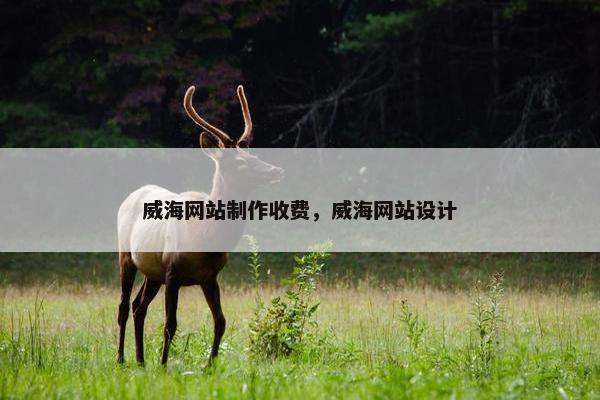 威海网站制作收费，威海网站设计
