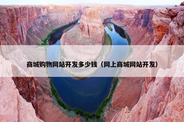 商城购物网站开发多少钱（网上商城网站开发）