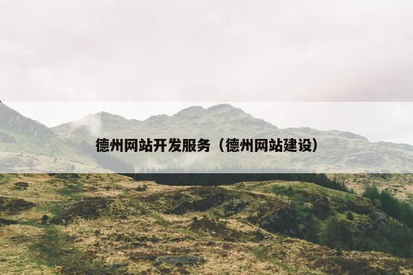 德州网站开发服务（德州网站建设）