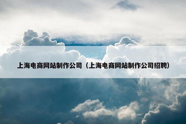 上海电商网站制作公司（上海电商网站制作公司招聘）