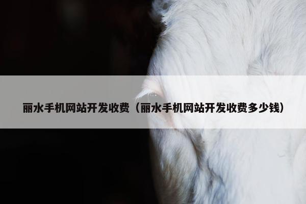 丽水手机网站开发收费（丽水手机网站开发收费多少钱）