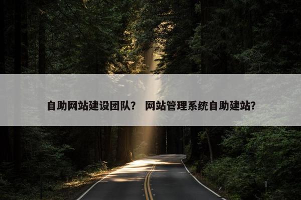 自助网站建设团队？ 网站管理系统自助建站？