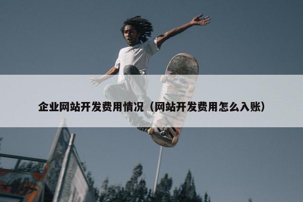 企业网站开发费用情况（网站开发费用怎么入账）