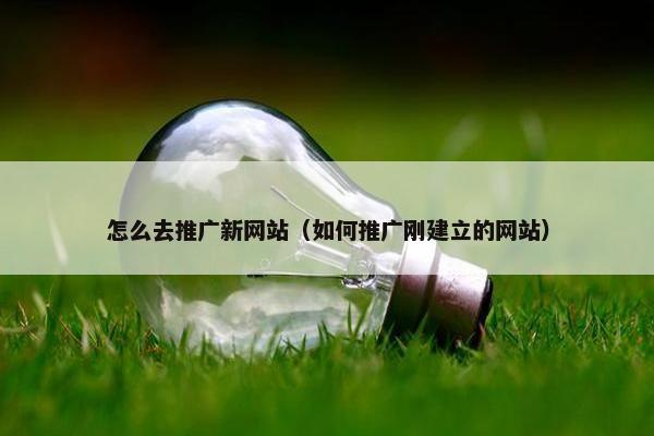 怎么去推广新网站（如何推广刚建立的网站）
