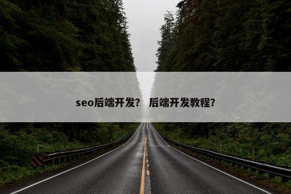seo后端开发？ 后端开发教程？