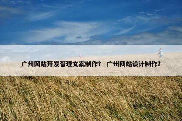 广州网站开发管理文案制作？ 广州网站设计制作？