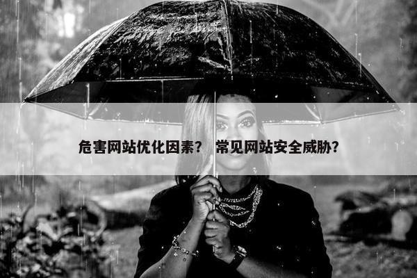 危害网站优化因素？ 常见网站安全威胁？
