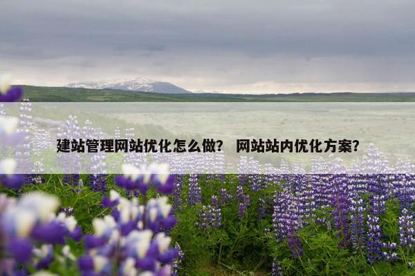 建站管理网站优化怎么做？ 网站站内优化方案？