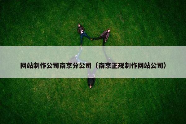 网站制作公司南京分公司（南京正规制作网站公司）