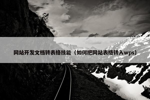 网站开发文档转表格技能（如何把网站表格转入wps）