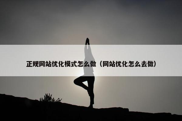 正规网站优化模式怎么做（网站优化怎么去做）