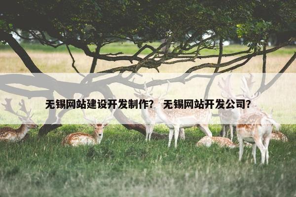 无锡网站建设开发制作？ 无锡网站开发公司？