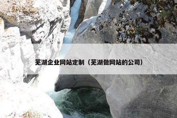 芜湖企业网站定制（芜湖做网站的公司）