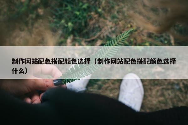 制作网站配色搭配颜色选择（制作网站配色搭配颜色选择什么）