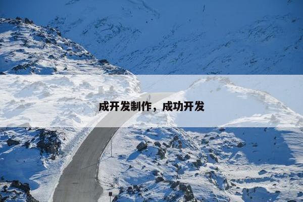 成开发制作，成功开发