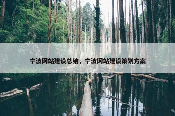 宁波网站建设总结，宁波网站建设策划方案
