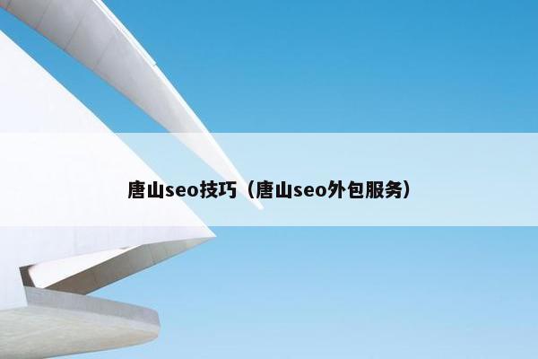 唐山seo技巧（唐山seo外包服务）