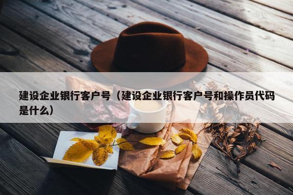 建设企业银行客户号（建设企业银行客户号和操作员代码是什么）