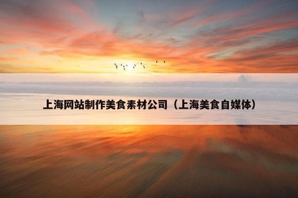上海网站制作美食素材公司（上海美食自媒体）