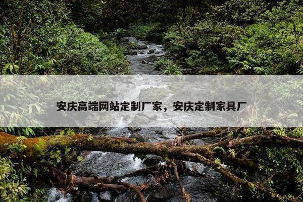 安庆高端网站定制厂家，安庆定制家具厂