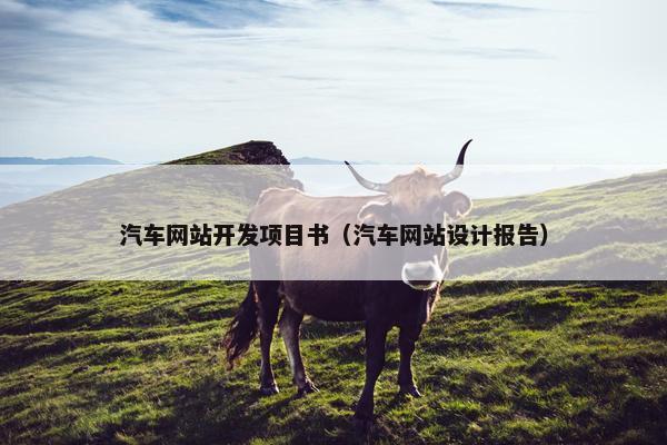 汽车网站开发项目书（汽车网站设计报告）