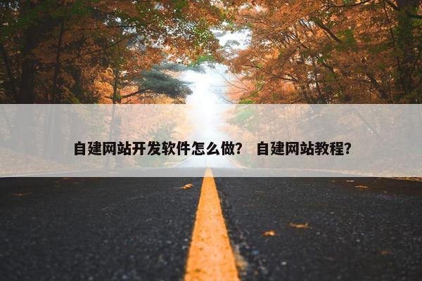 自建网站开发软件怎么做？ 自建网站教程？