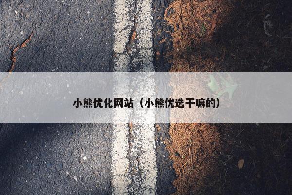 小熊优化网站（小熊优选干嘛的）