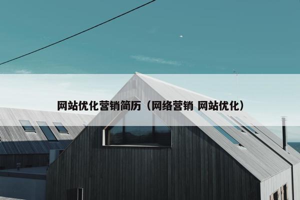 网站优化营销简历（网络营销 网站优化）
