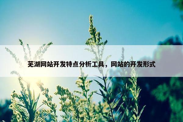 芜湖网站开发特点分析工具，网站的开发形式