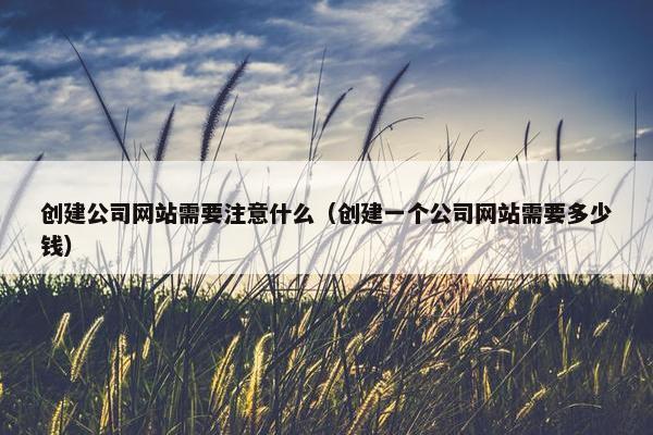 创建公司网站需要注意什么（创建一个公司网站需要多少钱）