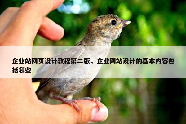 企业站网页设计教程第二版，企业网站设计的基本内容包括哪些