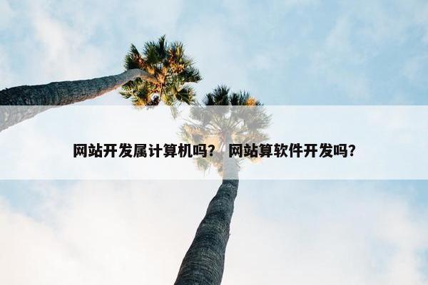 网站开发属计算机吗？ 网站算软件开发吗？