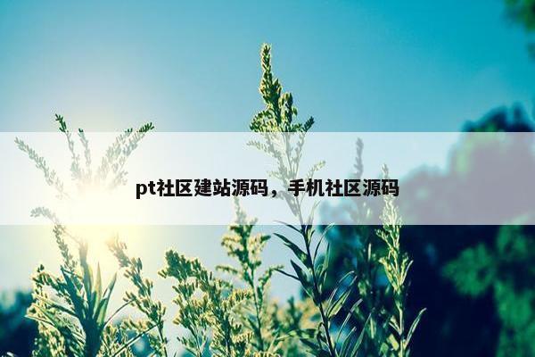 pt社区建站源码，手机社区源码