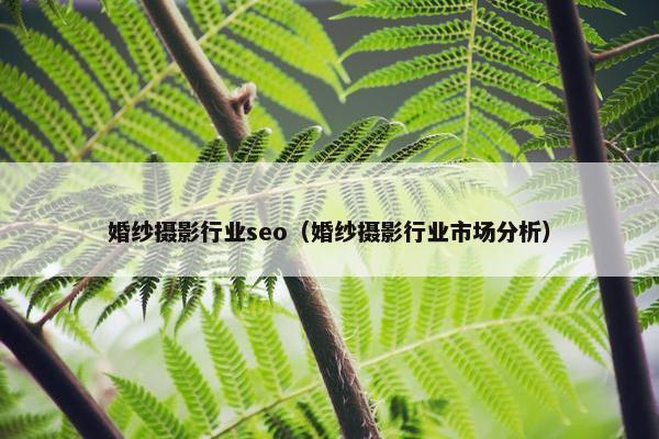 婚纱摄影行业seo（婚纱摄影行业市场分析）
