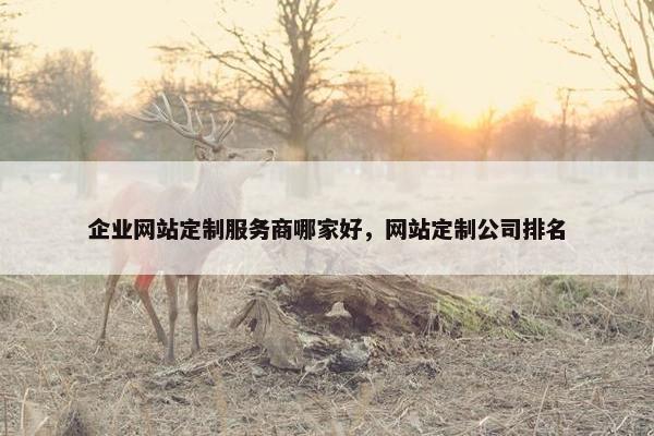 企业网站定制服务商哪家好，网站定制公司排名