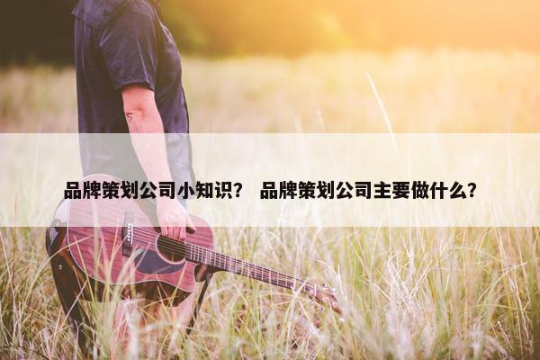 品牌策划公司小知识？ 品牌策划公司主要做什么？