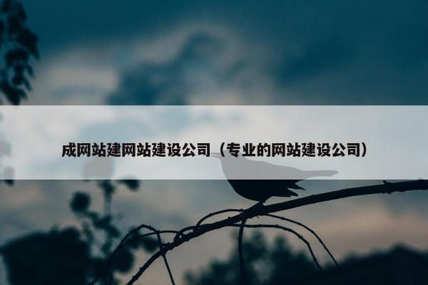 成网站建网站建设公司（专业的网站建设公司）