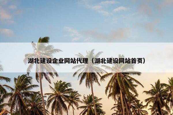 湖北建设企业网站代理（湖北建设网站首页）