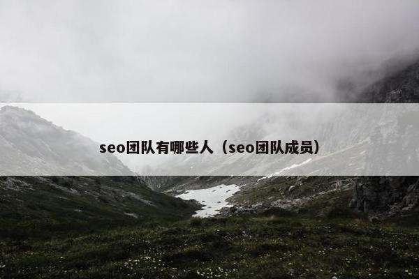 seo团队有哪些人（seo团队成员）