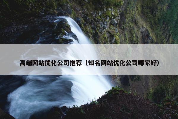 高端网站优化公司推荐（知名网站优化公司哪家好）