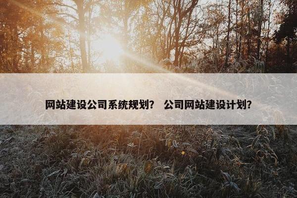 网站建设公司系统规划？ 公司网站建设计划？